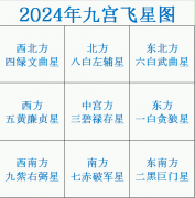 苏民峰2024年九宫飞星图详解和化解方法